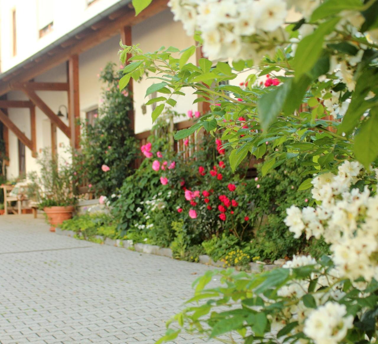 Ferienwohnung Kittl Waldkirchen Bagian luar foto